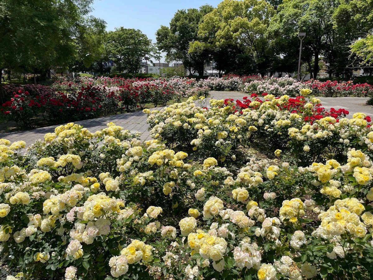 🏞️ 아마가사키시 농업공원 (아마가사키시 노교코엔) 이미지 1